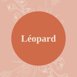 Collection Léopard