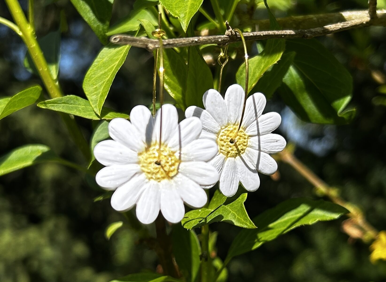 Créoles marguerite