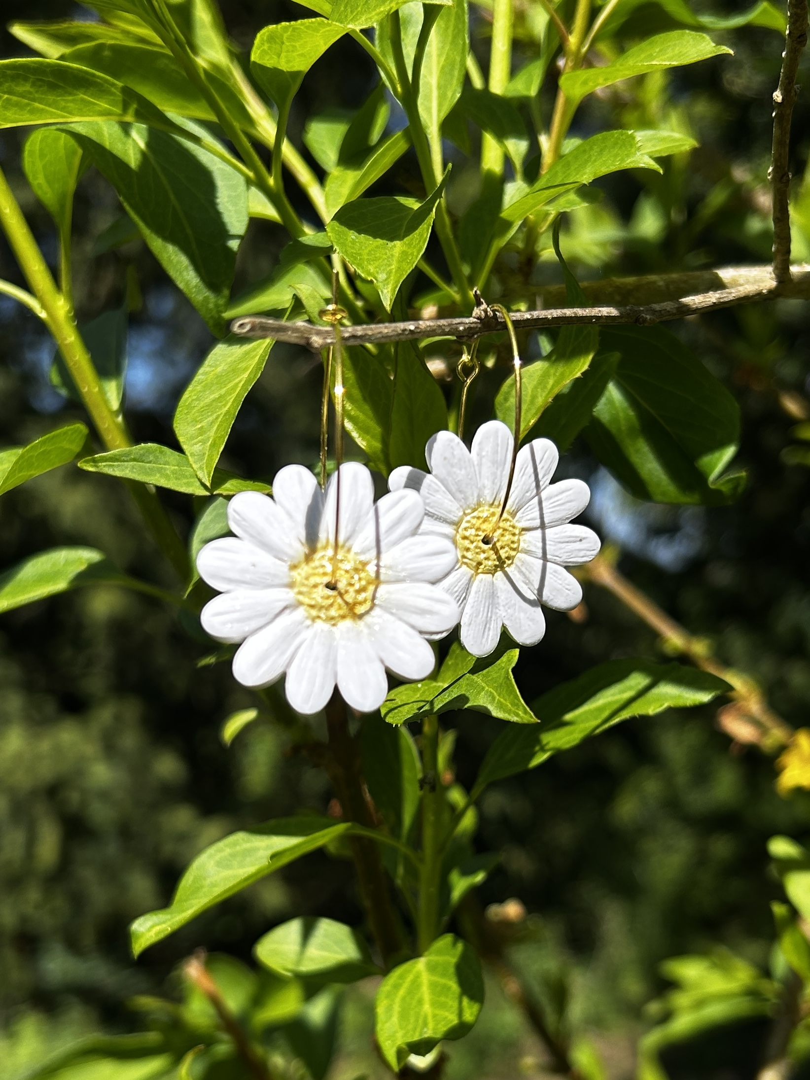 Créoles marguerite