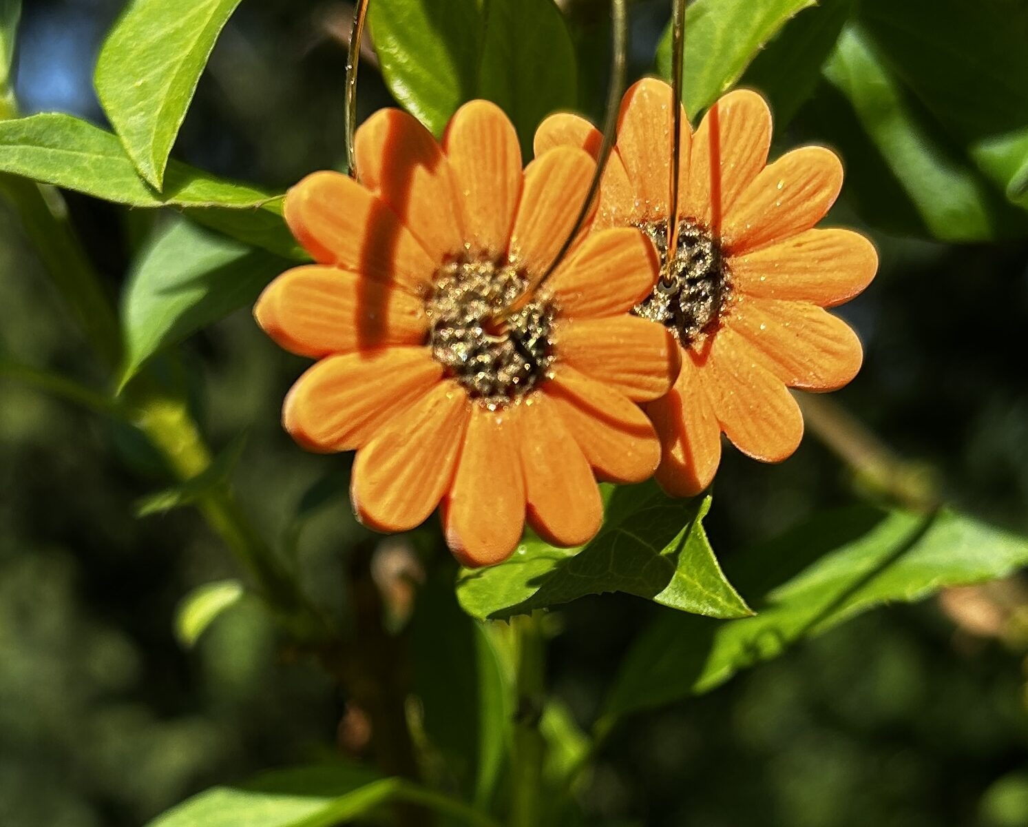 créoles tournesol