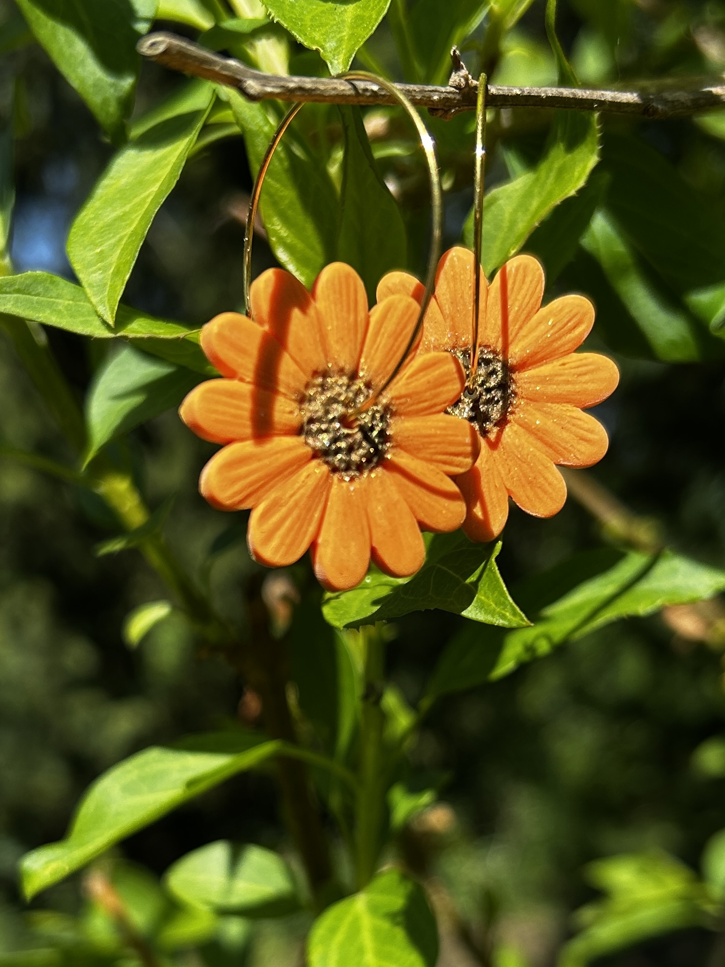 créoles tournesol