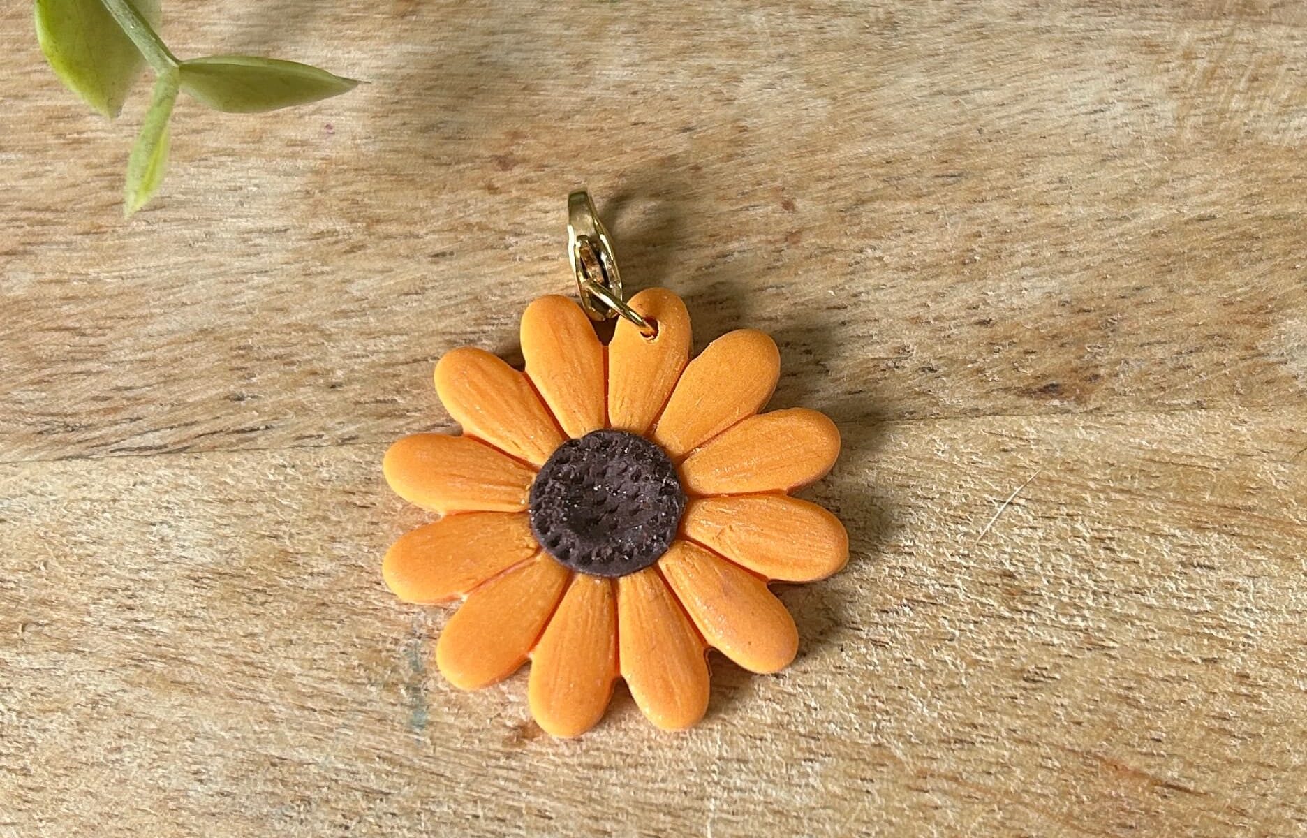 charm tournesol