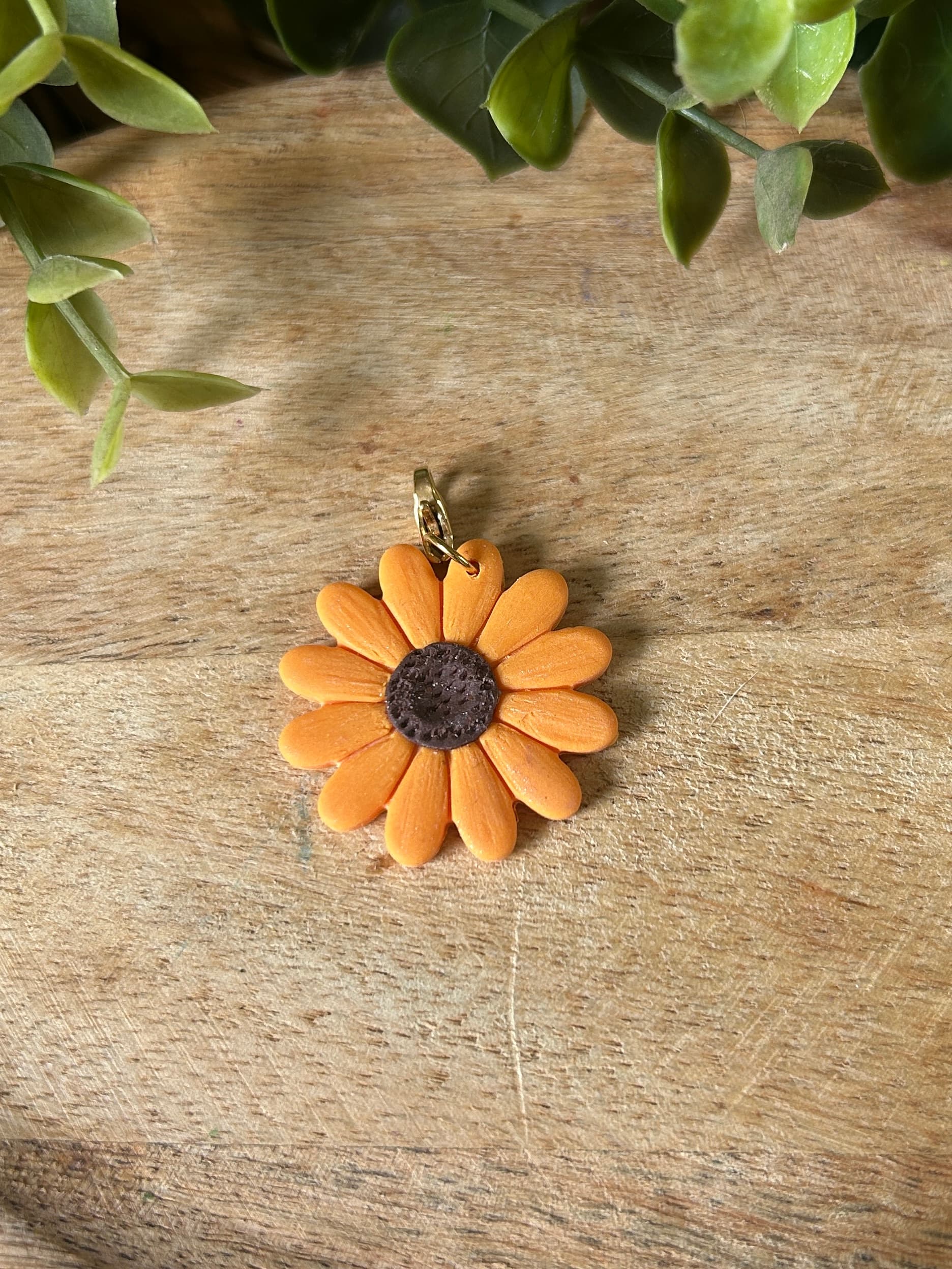charm tournesol