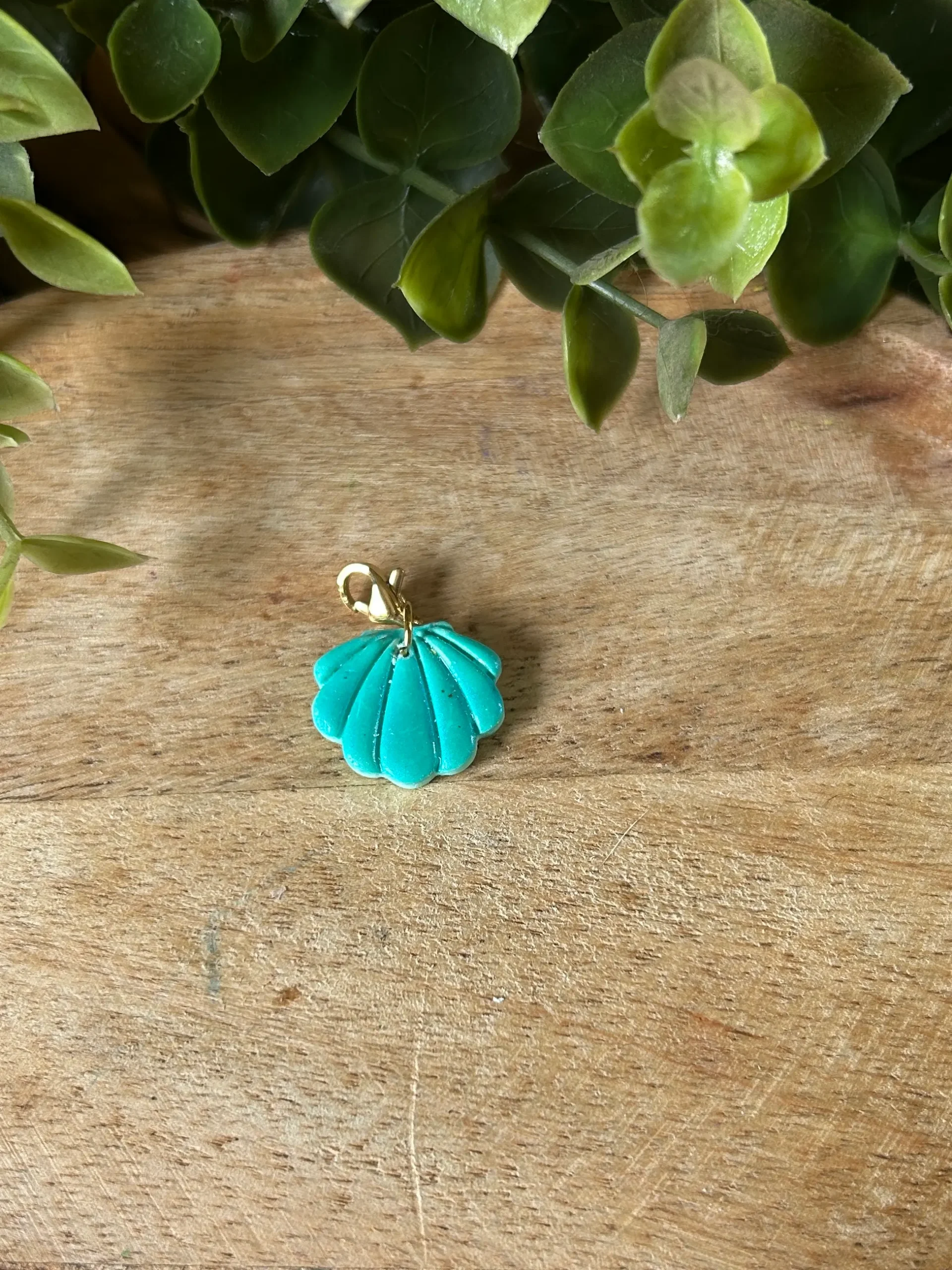 charm coquillage
